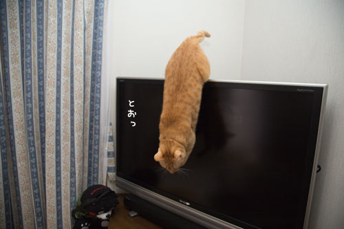本気を出す時_d0355333_17265208.jpg