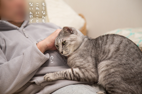 たまねぎなっちゃん_d0355333_17265293.jpg