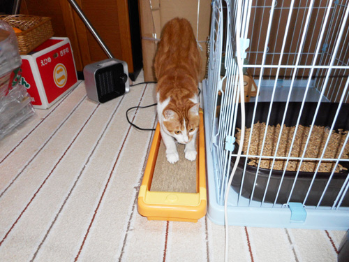 いい感じ~!_d0355333_17265956.jpg