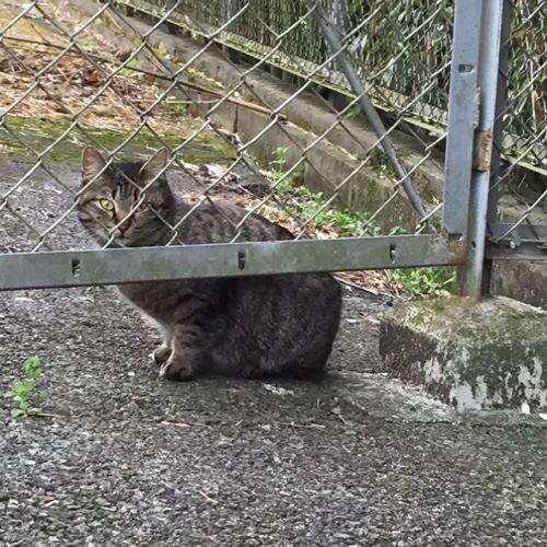 たろちゃの後輩……_d0355333_17270546.jpg