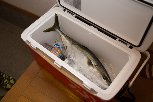 お魚祭り開催!_d0355333_17271131.jpg