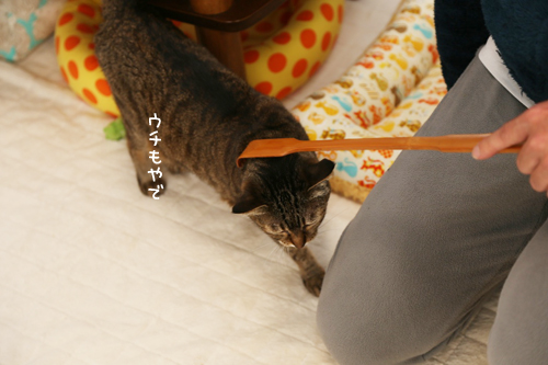 孫の手マジック_d0355333_17272078.jpg