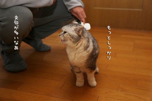 ややこしいブラシ店_d0355333_17272276.jpg