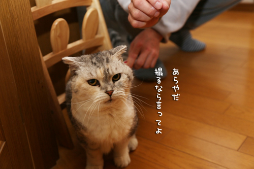ややこしいブラシ店_d0355333_17272330.jpg