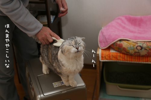ややこしいブラシ店_d0355333_17272405.jpg