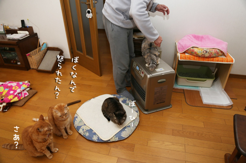 ややこしいブラシ店_d0355333_17272450.jpg