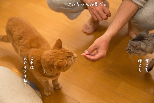 おさしみのある日~!_d0355333_17273911.jpg