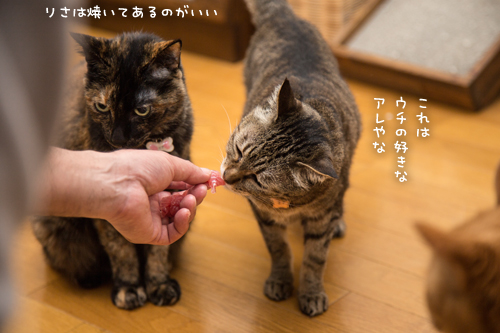 おさしみのある日~!_d0355333_17273975.jpg