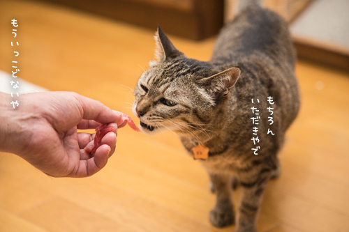 おさしみのある日~!_d0355333_17274035.jpg