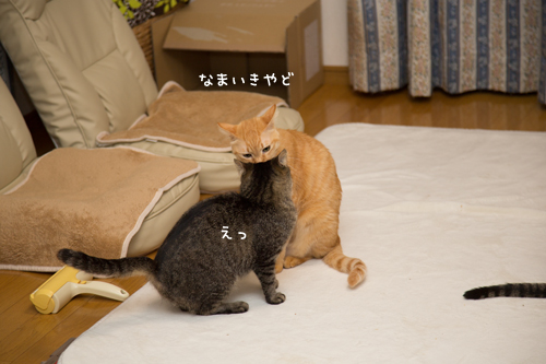 すごいねー_d0355333_17274238.jpg