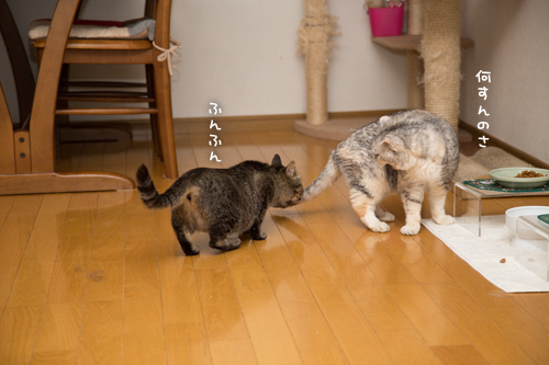 気にしない性格_d0355333_17274398.jpg