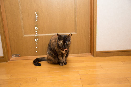 d0355333_17274467.jpg