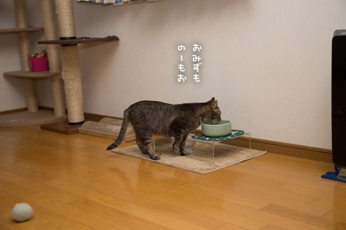 がつがつ_d0355333_17275028.jpg