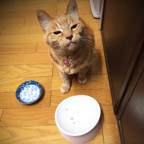 おいしいね。_d0355333_17275582.jpg