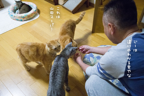 おさしみのある日~!_d0355333_17275705.jpg