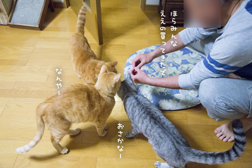 おさしみのある日~!_d0355333_17275711.jpg