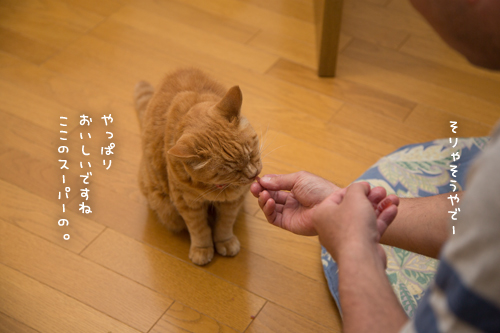おさしみのある日~!_d0355333_17275777.jpg