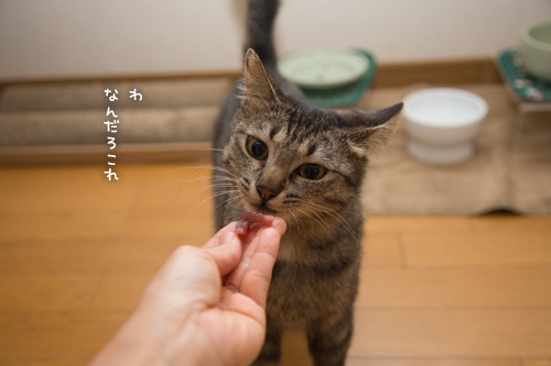 おさしみのある日~!_d0355333_17275837.jpg