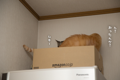 確信犯_d0355333_17280649.jpg