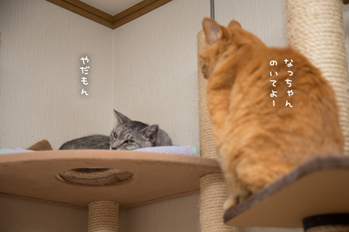 点滴いやいや祭_d0355333_17280922.jpg