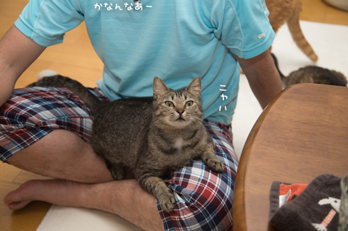 競争率UP_d0355333_17280930.jpg