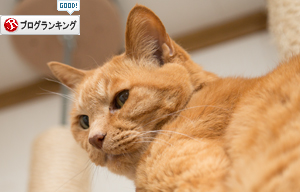 点滴いやいや祭_d0355333_17281085.jpg