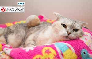大所帯であたふた_d0355333_17281813.jpg