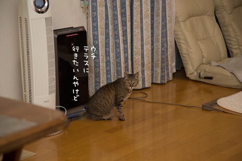 待ってるよ_d0355333_17282202.jpg