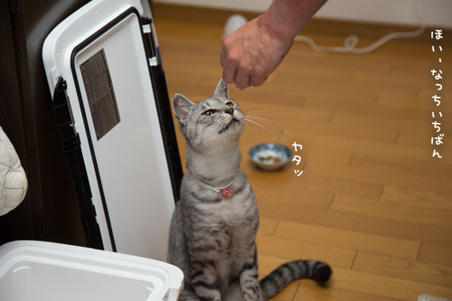 いよいよ本番_d0355333_17282400.jpg