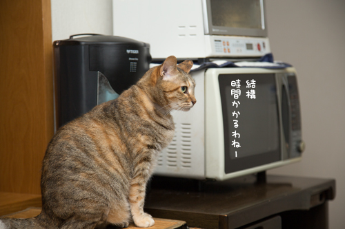 いよいよ本番_d0355333_17282447.jpg