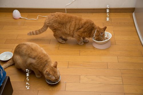 復活にはこれ_d0355333_17282841.jpg