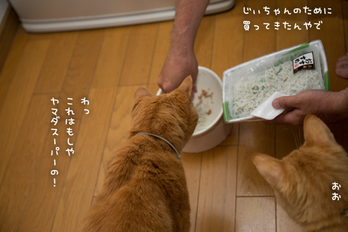 復活にはこれ_d0355333_17282859.jpg