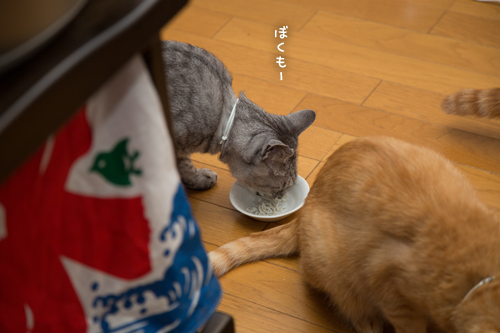 復活にはこれ_d0355333_17282919.jpg