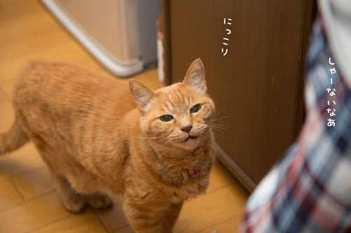 復活にはこれ_d0355333_17282940.jpg