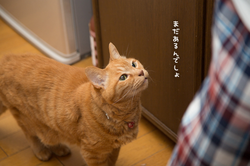 復活にはこれ_d0355333_17282985.jpg