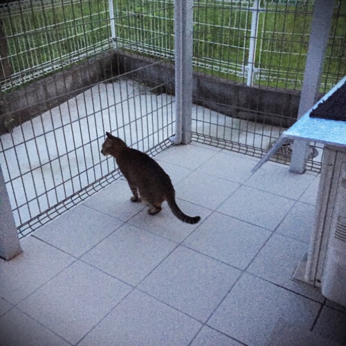 ちょっと復活。心配はつきないけど_d0355333_17283508.jpg
