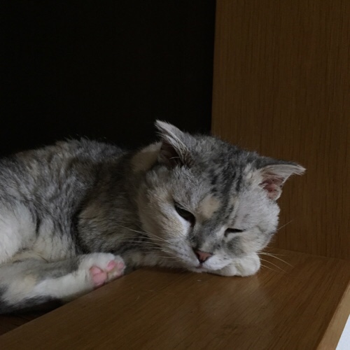 大所帯であたふた_d0355333_17283589.jpg