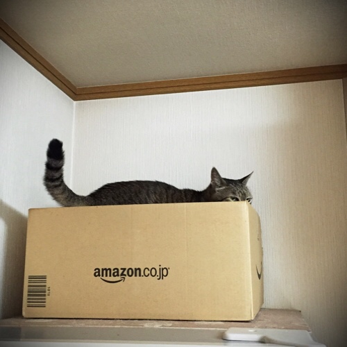 ちょっと復活。心配はつきないけど_d0355333_17283605.jpg