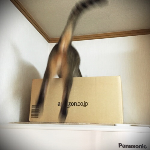 ちょっと復活。心配はつきないけど_d0355333_17283674.jpg