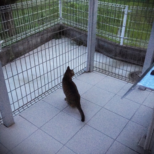 ちょっと復活。心配はつきないけど_d0355333_17283676.jpg