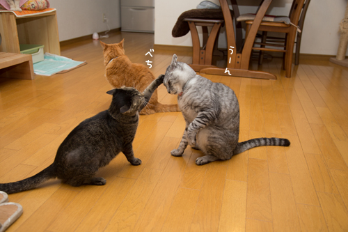 がんばって_d0355333_17284045.jpg