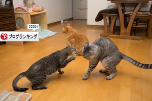 あたふた通院_d0355333_17284113.jpg