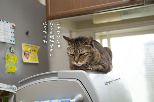人気の場所は順番待ち_d0355333_17284328.jpg