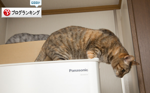 人気の場所は順番待ち_d0355333_17284330.jpg