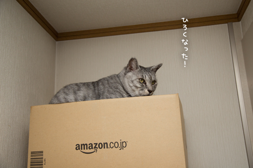 人気の場所は順番待ち_d0355333_17284345.jpg
