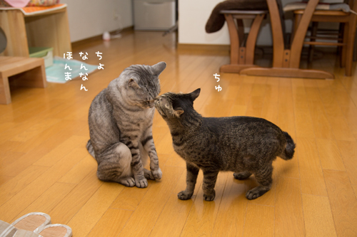 もしや魔性の_d0355333_17284452.jpg