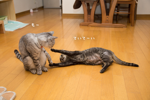 もしや魔性の_d0355333_17284490.jpg