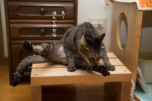 はじめてのシャンプー_d0355333_17284827.jpg
