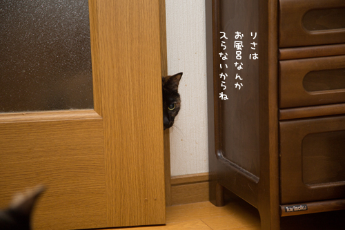 はじめてのシャンプー_d0355333_17284979.jpg