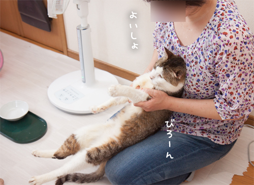 ひとなつっこさ200%_d0355333_17285818.jpg